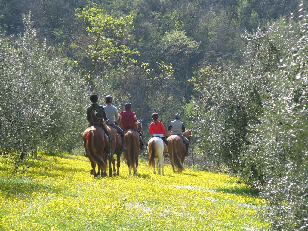 Bed and Breakfast Paglia E Fieno Виллага Экстерьер фото