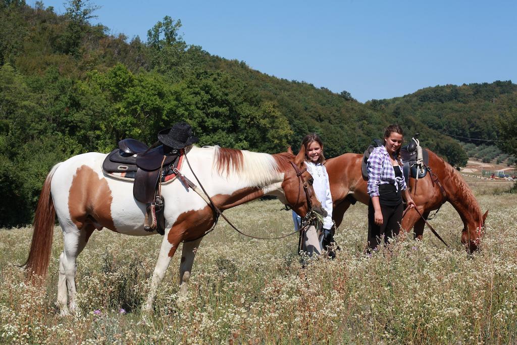 Bed and Breakfast Paglia E Fieno Виллага Экстерьер фото